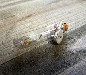 Glass Vial Pendant Dandelion Seed Pendant Dandelion Charm Glass Bottle Pendant Dandelion Pendant Bottle Charm Wish Charm Word Charm