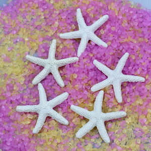 Starfish Embellishments Ocean Decor Resin Starfish Large Starfish White Starfish Craft Supplies 2.3" 25pcs