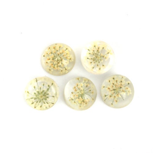 Flower Cabochons Resin Cabochons Flowers Baby's Breath Bulk Cabochons Resin Flowers for Rings Wholesale Cabochons Domed Flat Backs 14mm 50pc