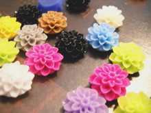 Load image into Gallery viewer, Bobby Pin Blanks Resin Flowers DIY Kit Hair Pin Kit Hair Accessory Findings Mum Cabochons Flat Backs 30pc Set YOU PICK