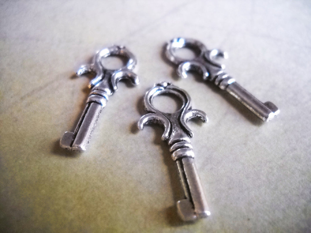 Silver Key Charms Antiqued Silver Steampunk Keys Tiny Key Charms Skeleton Keys 10pcs 25mm